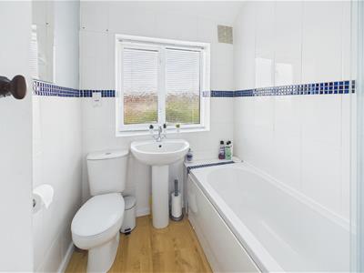 Picture 7
